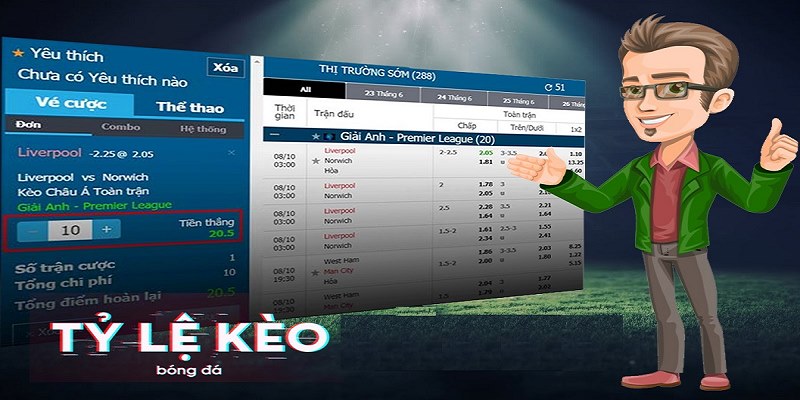 Tỷ lệ kèo (betting odds) là dữ liệu quan trọng cần biết